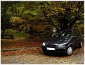 Click image for larger version

Name:	corsa_20autumn_165.jpg
Views:	1358
Size:	138,5 KB
ID:	2016468