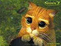 Click image for larger version

Name:	shrek_cat_th_921.jpg
Views:	1554
Size:	6,6 KB
ID:	2018876