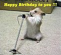 Click image for larger version

Name:	happypercent20birthdaypercent20topercent20youpercent20_135.jpg
Views:	808
Size:	112,0 KB
ID:	2046490