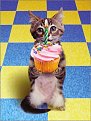 Click image for larger version

Name:	birthday_cat_939.jpg
Views:	1569
Size:	26,1 KB
ID:	2049459