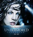 Click image for larger version

Name:	underworld_154.jpg
Views:	1797
Size:	30,8 KB
ID:	2062761