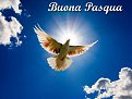 Click image for larger version

Name:	colomba_pasquale_965.jpg
Views:	314
Size:	60,0 KB
ID:	2161772